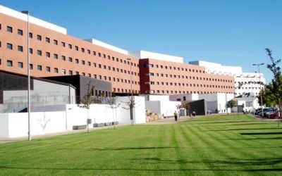 Webinar «Nuestro granito de arena en la presbifagia»