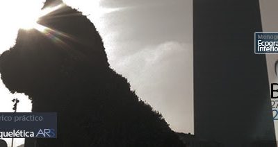 IX Curso de Ecografía ARS