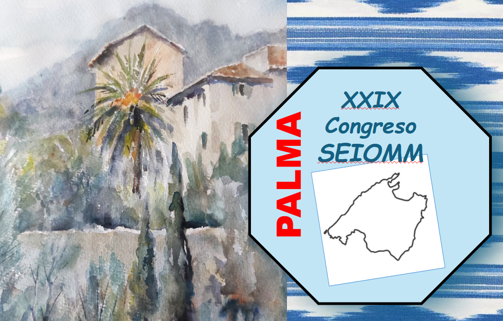 XXIX Congreso SEIOMM